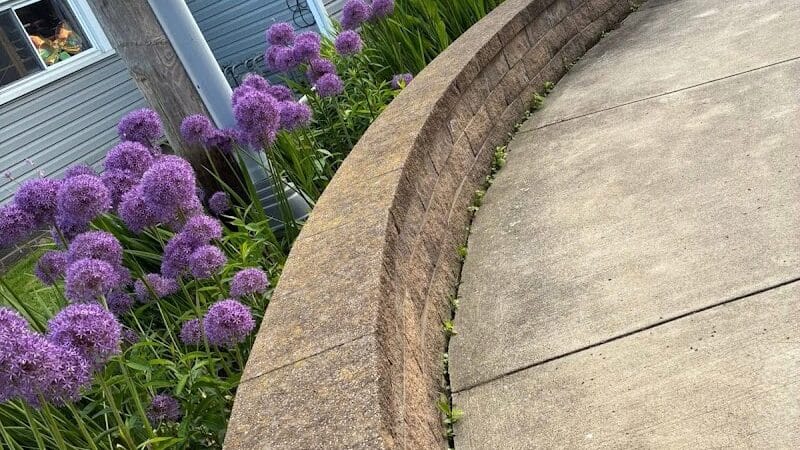 Pocket Park - Columbiana, OH