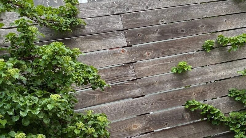 Pocket Park - Columbiana, OH