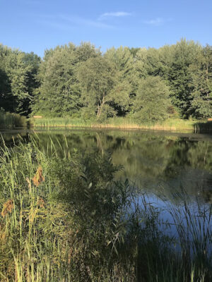 Walking Trail