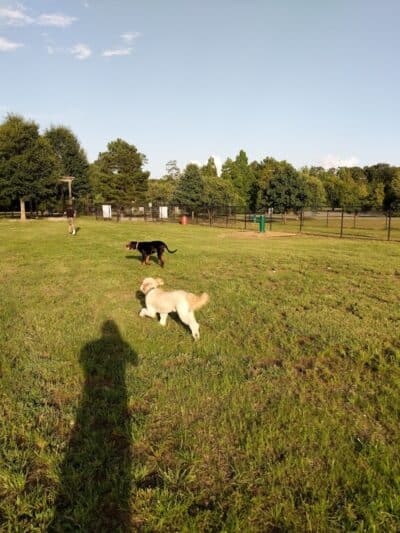Columbus City Dog Park - Columbus, GA