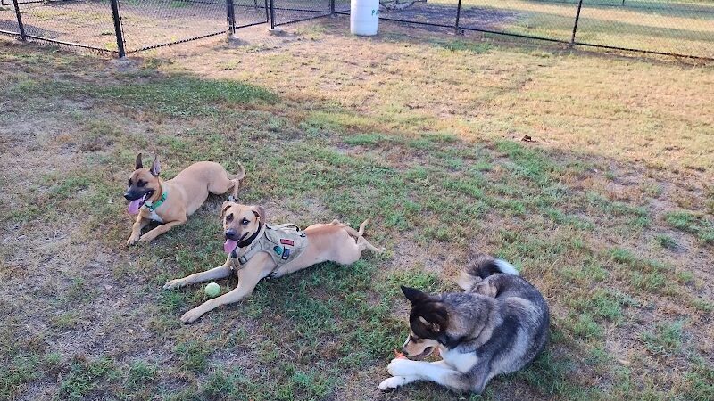 Columbus City Dog Park - Columbus, GA