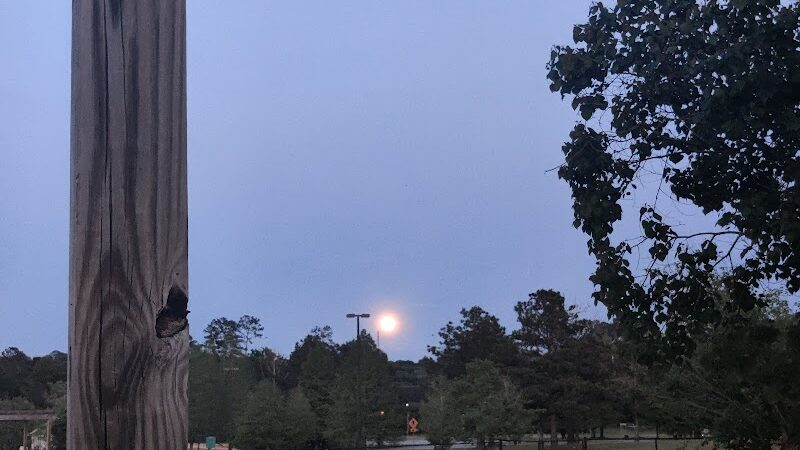 Columbus City Dog Park - Columbus, GA