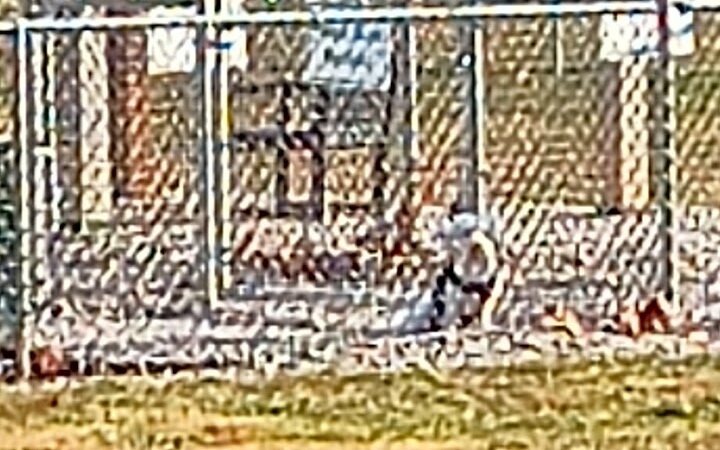 Mansfield Bark Park - Columbus, NJ