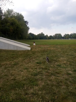 Academy Park