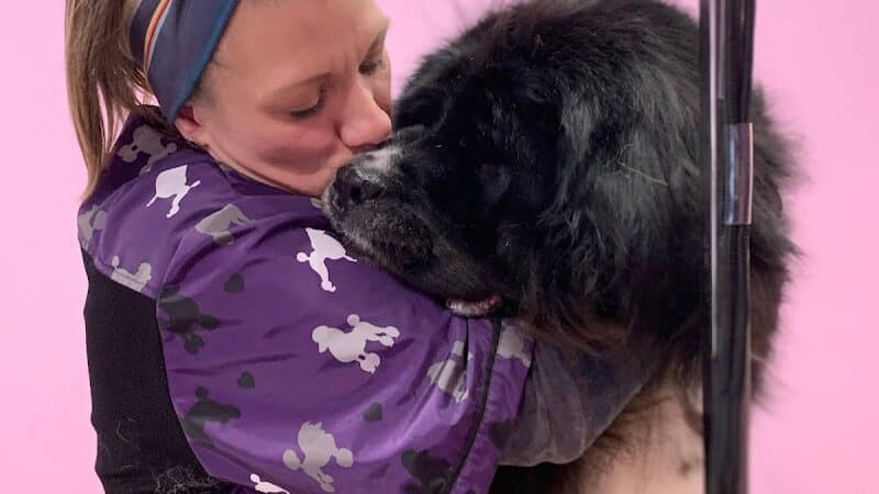 Barkin Dogs & Waggin Tails Pet Salon - Columbus, OH