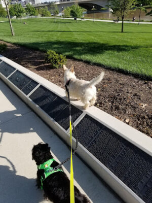Battelle Riverfront Park