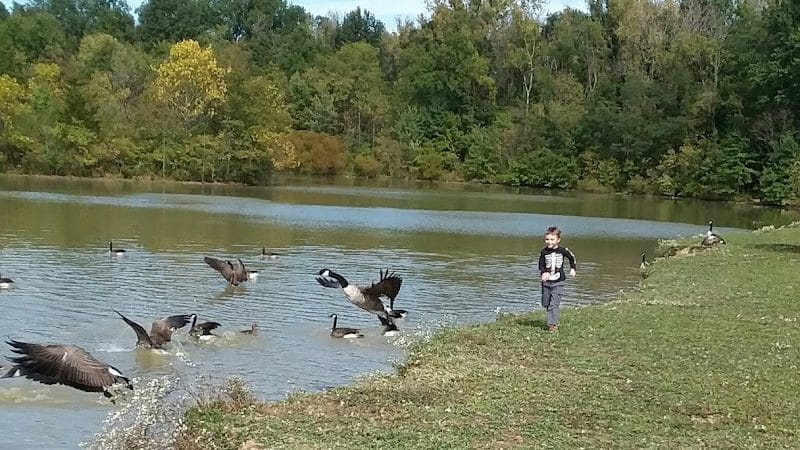 Big Walnut Park - Columbus, OH