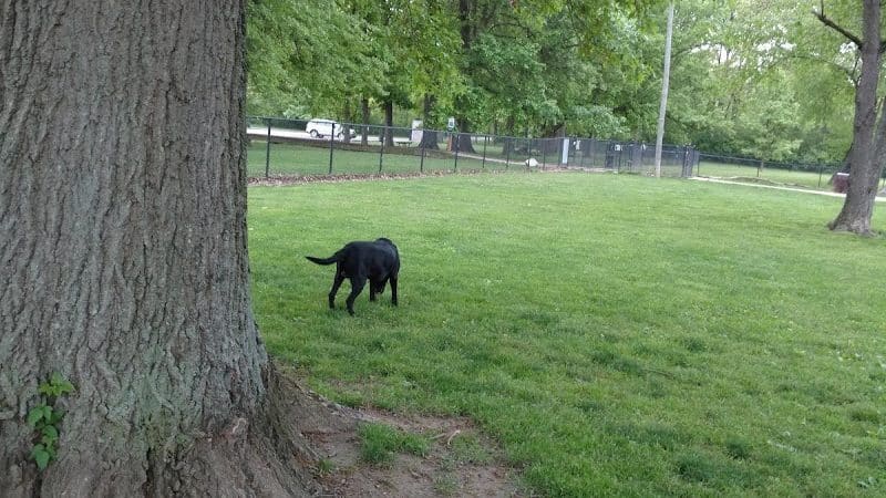 Big Walnut Park - Columbus, OH