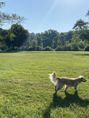 Big Walnut Park