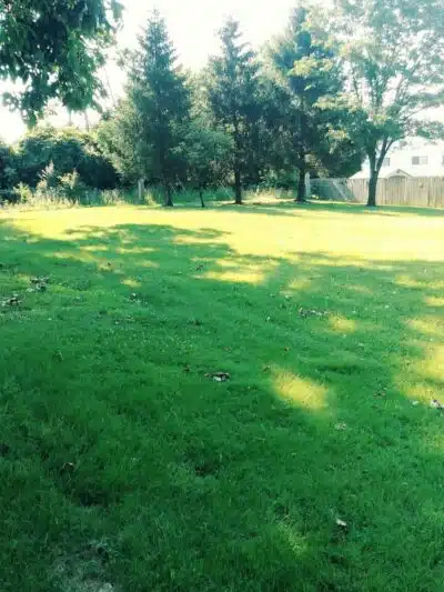 Brandywine Park - Columbus, OH