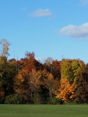 Brandywine Park