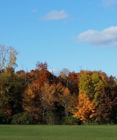 Brandywine Park
