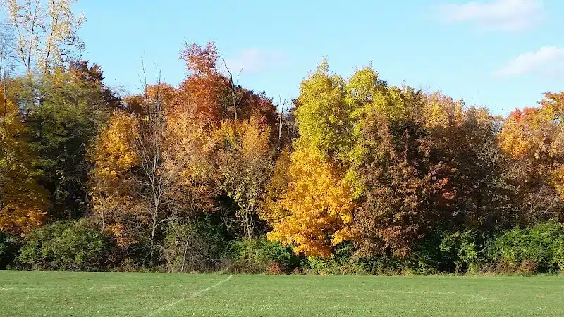 Brandywine Park - Columbus, OH