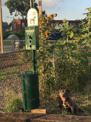 Bridgeway Academy Dog Park