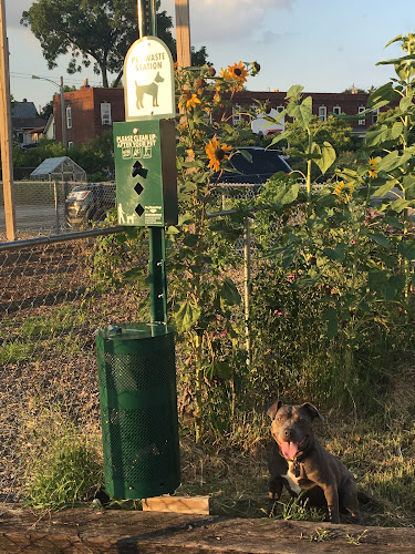 Bridgeway Academy Dog Park