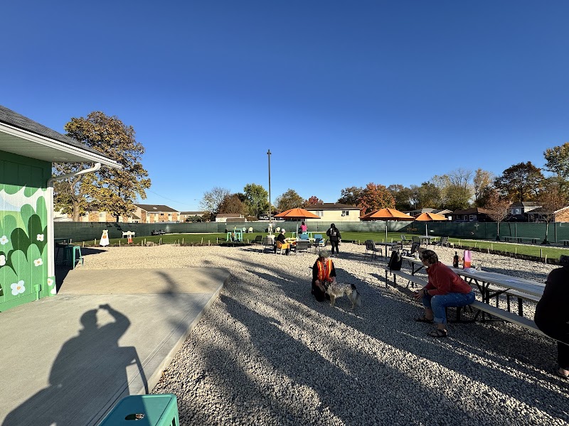 Bumble's Backyard - Columbus, OH