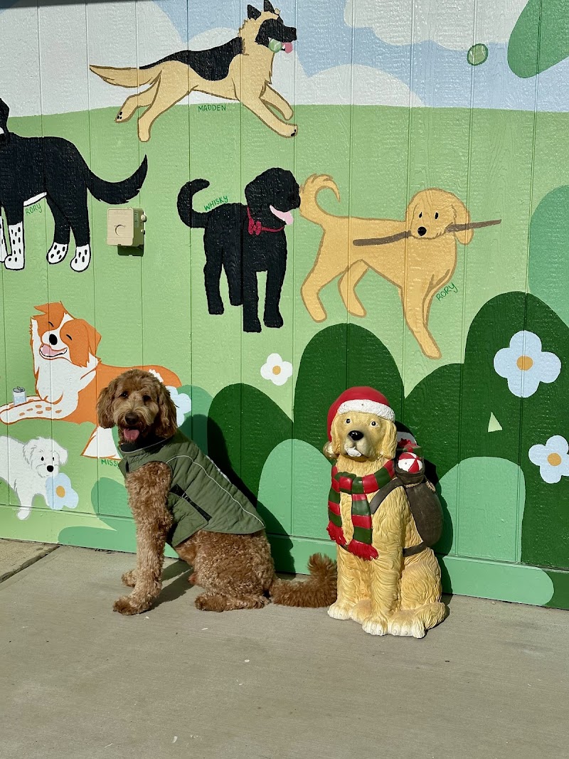 Bumble's Backyard - Columbus, OH