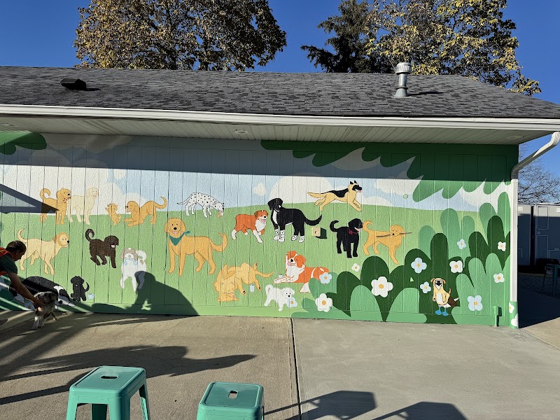 Bumble's Backyard - Columbus, OH