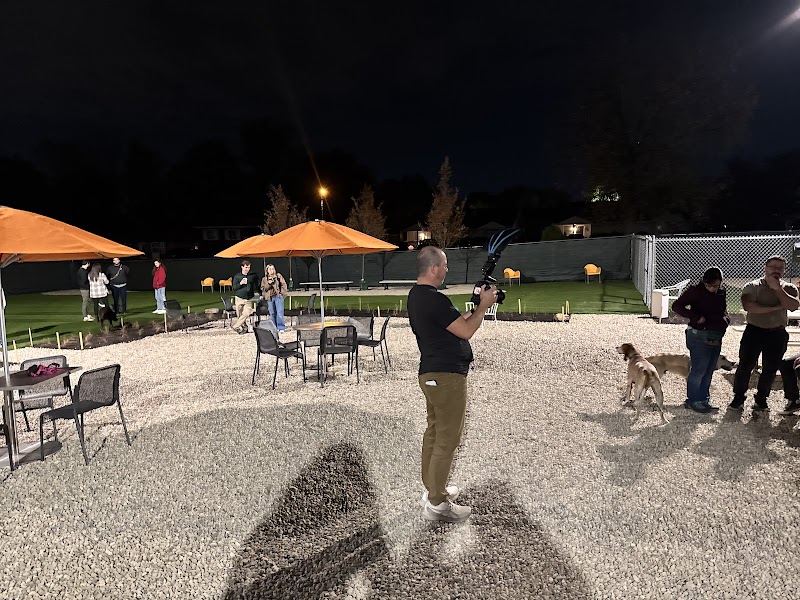 Bumble's Backyard - Columbus, OH