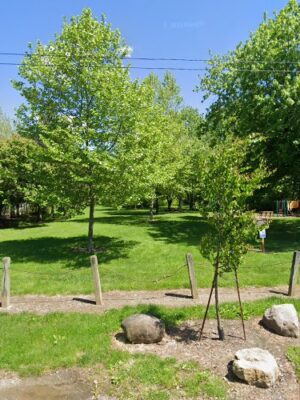 Canini Park