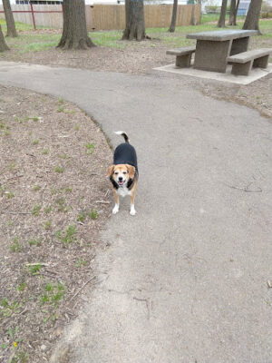 Chaseland Park