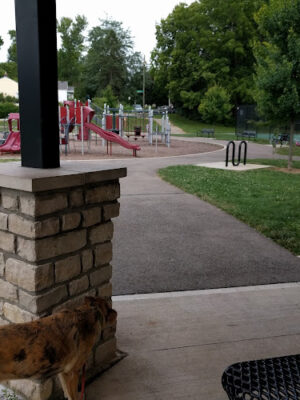 Clinton -Como Park