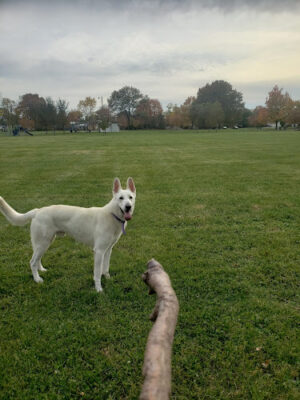Cremeans Park