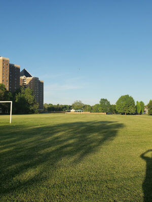 Dreamfield Park