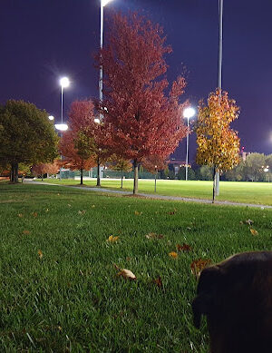 Fred Beekman Park