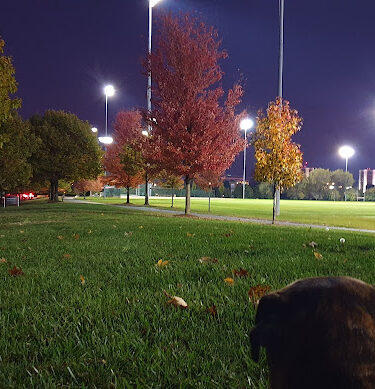 Fred Beekman Park
