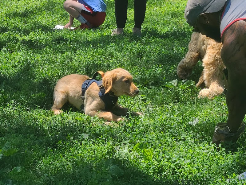 Godown Park - Columbus, OH