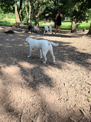 Godown Park