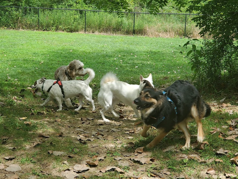 Godown Park - Columbus, OH