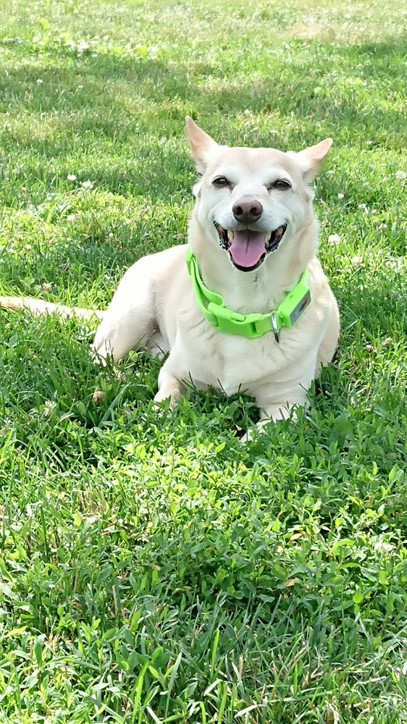 Godown Park - Columbus, OH