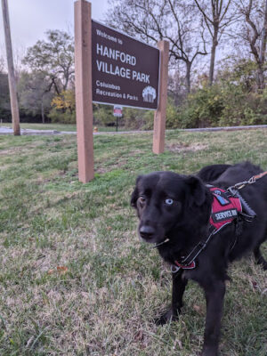 Hanford Village Park