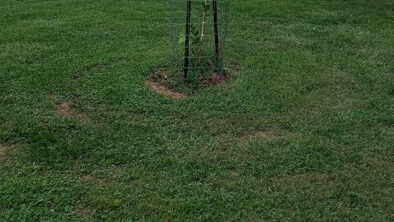 Hauntz Park - Columbus, OH