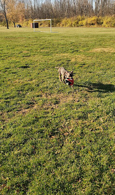 Helsel Park