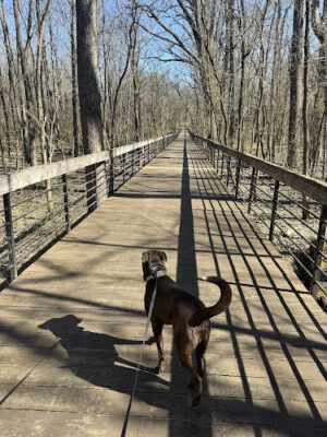 Innis Park