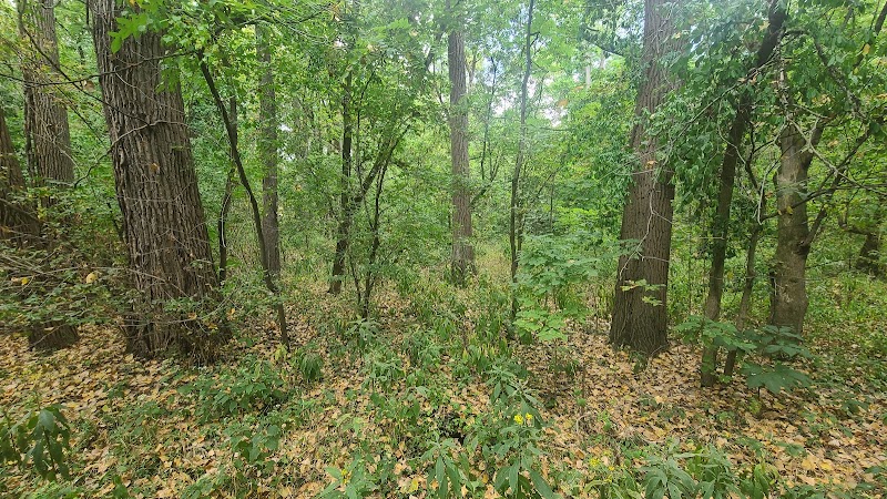 Innis Park - Columbus, OH