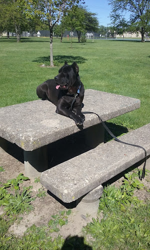 Linden Park