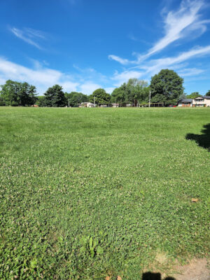 Maybury School Park