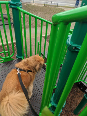 Maynard and Summit Park
