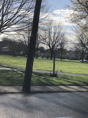 Moeller Park