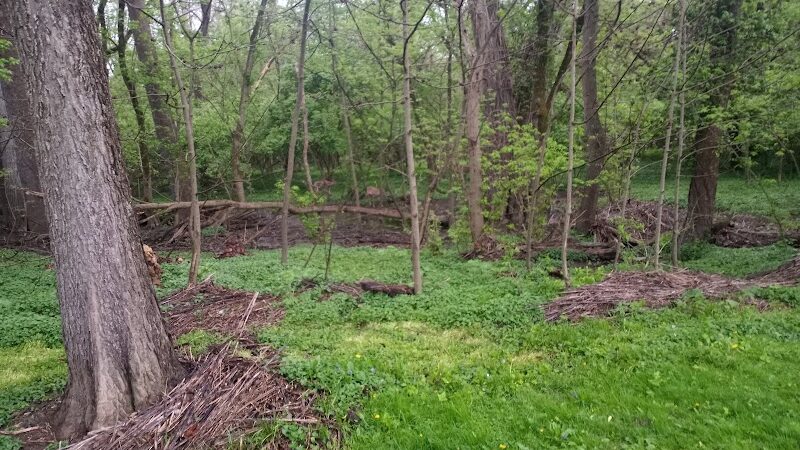 Northmoor Park - Columbus, OH