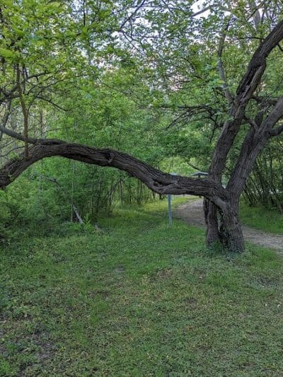 Northmoor Park - Columbus, OH