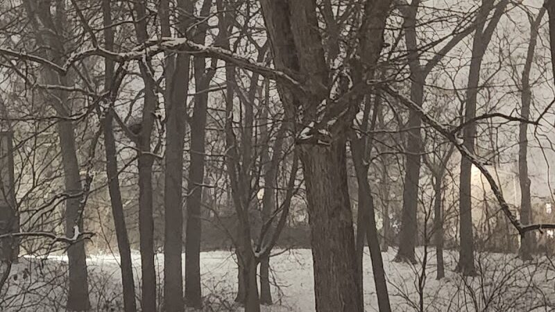 Olentangy Commons Large Dog Park - Columbus, OH