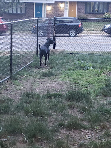 Olentangy Commons Small Dog Park