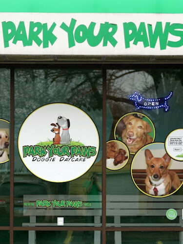 Park Your Paws
