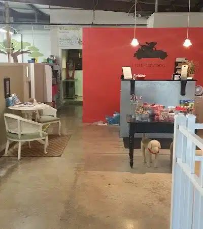 Park Your Paws - Columbus, OH
