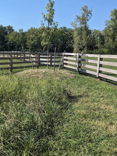 Quarry Trails Dog Park - Columbus, OH